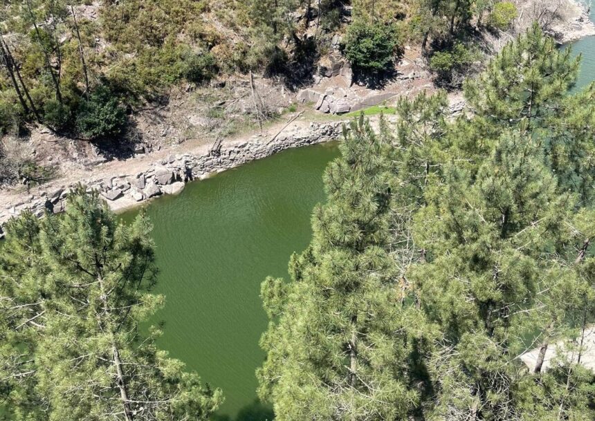 Albufeira de Lindoso contaminada por 'bloom' de cianobactérias tóxicas vindo da Galiza Albufeira de Lindoso contaminada por bloom de cianobacterias toxicas vindo da Galiza e1781183884777