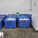 Aveiro Capreende mais de 2,8 toneladas de sardinha subdimensionada na Lota