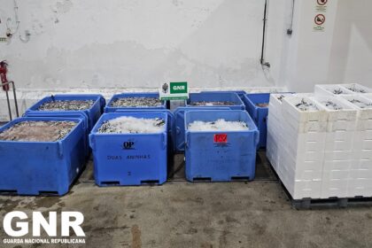 Aveiro Capreende mais de 2,8 toneladas de sardinha subdimensionada na Lota