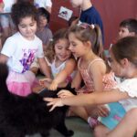 Braga Projeto 'Escola Amiga dos Animais' envolveu cerca de 3 800 alunos ao longo do ano letivo