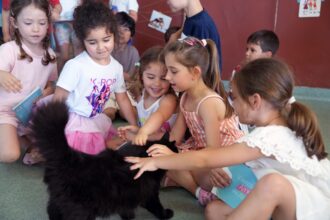 Braga Projeto 'Escola Amiga dos Animais' envolveu cerca de 3 800 alunos ao longo do ano letivo