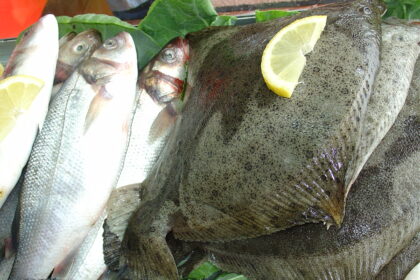 Esposende Projeto “Esposende Seafare” recebe apoio de 15 mil euros para promover o pescado loc