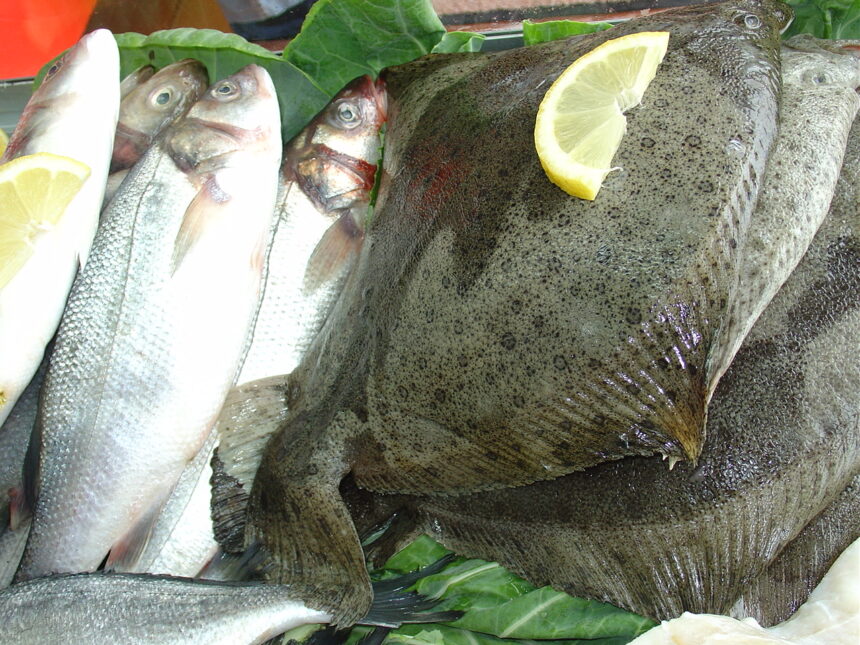 Esposende: Projeto “Esposende Seafare” recebe apoio de 15 mil euros para promover o pescado loc Esposende Projeto “Esposende Seafare” recebe apoio de 15 mil euros para promover o pescado loc