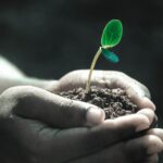Guimarães Encontro pela Justiça Climática no Norte debate crise ecológica
