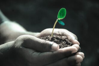 Guimarães Encontro pela Justiça Climática no Norte debate crise ecológica