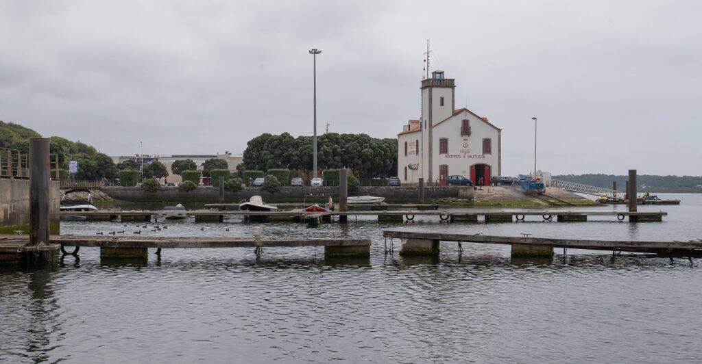 P1135353