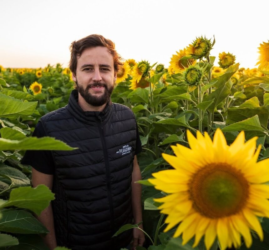 Viana: Campos de girassóis junto à praia reabrem na próxima sexta-feira Viana do Castelo Campos de girassóis junto à praia reabrem na próxima sexta-feira