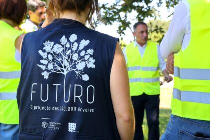 Vila do Conde: Município planta mais de 3.000 árvores autóctones