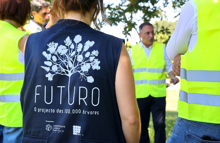 Vila do Conde: Município planta mais de 3.000 árvores autóctones Vila do Conde: Município planta mais de 3.000 árvores autóctones