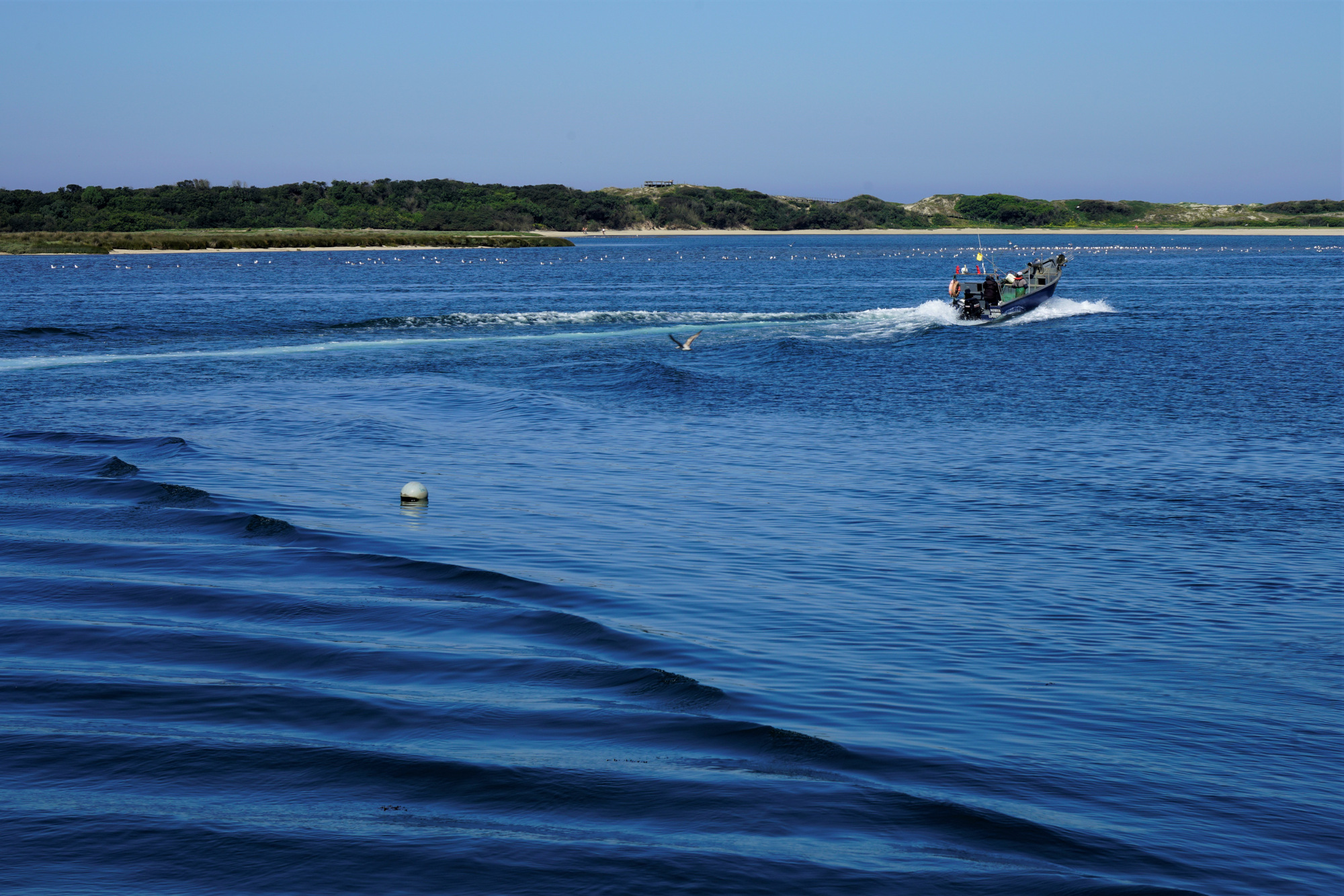 Esposende: Projeto “Esposende Seafare” recebe apoio de 15 mil euros para promover o pescado loc pesca