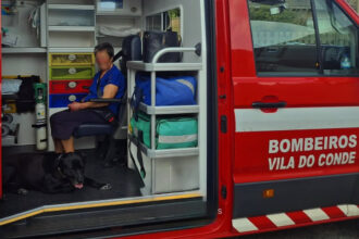 vila do conde cão socorro bombeiros