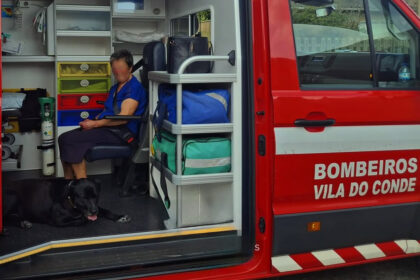 vila do conde cão socorro bombeiros