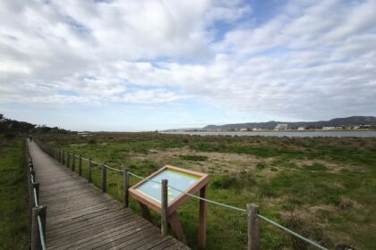 Esposende Novos passadiços no Estuário do Cávado custam 460 mil euros