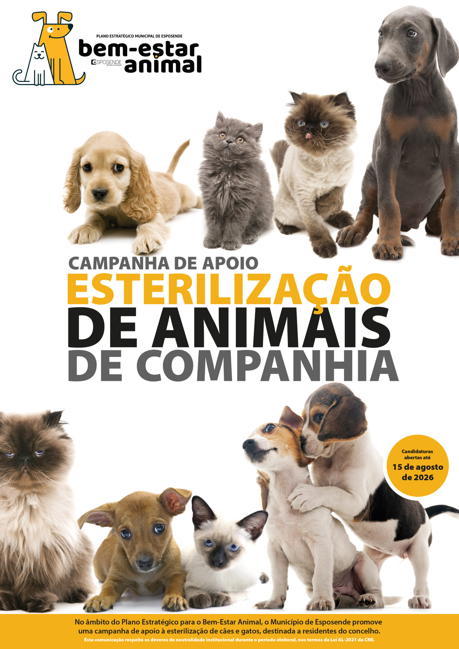Esterilizacao ANIMAISCOMPANHIA 2026 scaled