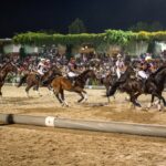 Ponte de Lima Sevilha SC e Vento JCL consagram-se grandes campeões da Feira do Cavalo