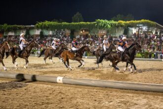 Ponte de Lima Sevilha SC e Vento JCL consagram-se grandes campeões da Feira do Cavalo