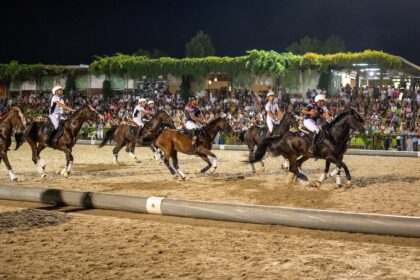 Ponte de Lima Sevilha SC e Vento JCL consagram-se grandes campeões da Feira do Cavalo