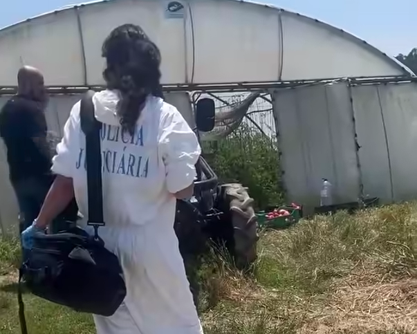 Póvoa de Varzim Duas irmãs morrem devido ao calor dentro de estufa na Estela