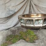 Viana Dados oceânicos da costa vianense integram a 1.ª Bienal Internacional da Água