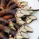 Viana Festival Maresia traz gastronomia maritima e musica ao vivo a partir desta quarta feira e1785322770353