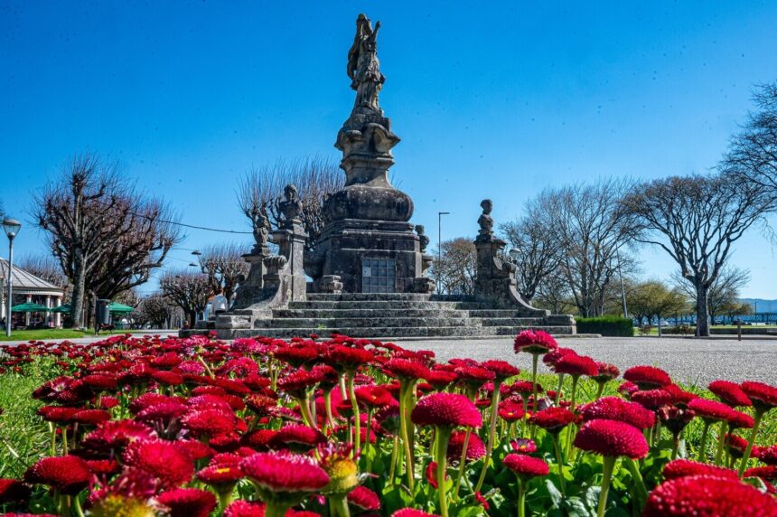 Viana Município aprova quase meio milhão de euros em apoios para as freguesias