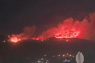 ponte de lima incendio