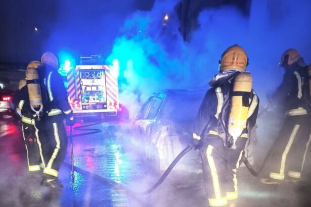 bombeiros sap mamede infesta mortos a4