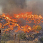 Almeria incendio