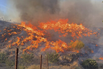 Almeria incendio
