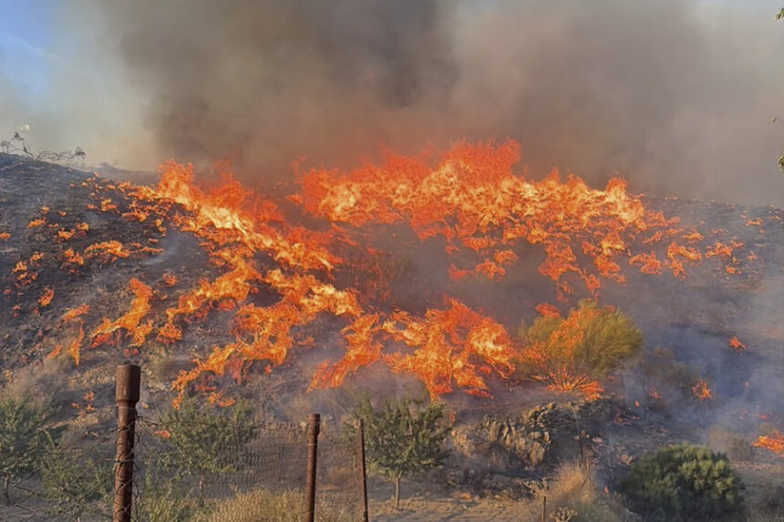 Almeria incendio