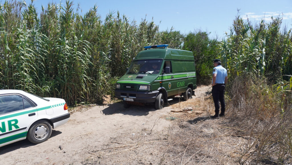 Esposende: Morteiro de guerra encontrado junto à praia da Ramalha em Apúlia GNR apulia Esposende morteiro