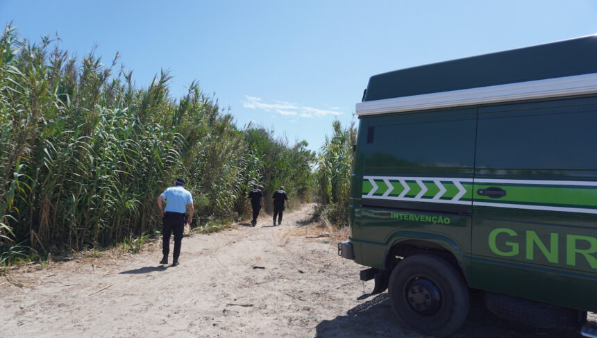 Esposende: Morteiro de guerra encontrado junto à praia da Ramalha em Apúlia ramalha praia gnr explosivos detonação GNR Esposende Apulia - 22