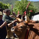 Alto Minho Feira Tradicional da Portela de Alvite junta Merufe e Sistelo este fim de semana