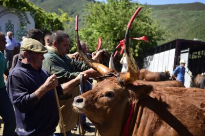 Alto Minho Feira Tradicional da Portela de Alvite junta Merufe e Sistelo este fim de semana