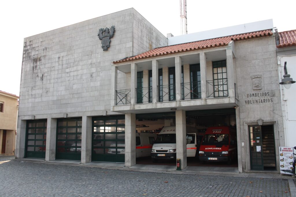 BV Fao