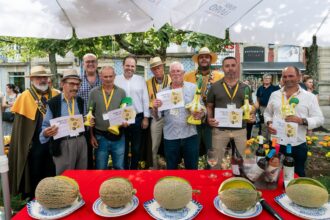 Barcelos Antonio Valente vence Concurso do Melao Casca de Carvalho 2026