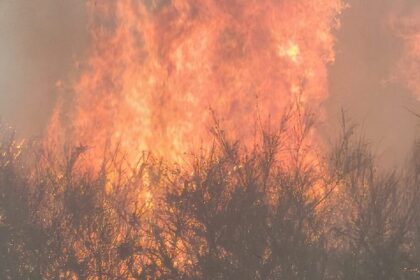 Ponte de Lima Mais de 280 bombeiros e tres meios aereos combatem dois incendios e1787051983716