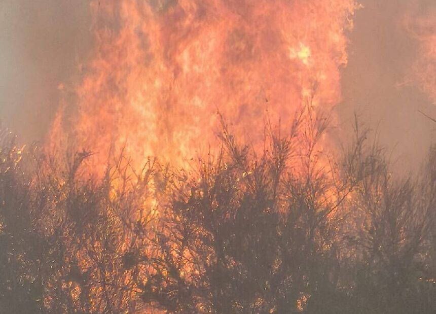 Ponte de Lima Mais de 280 bombeiros e tres meios aereos combatem dois incendios e1787051983716