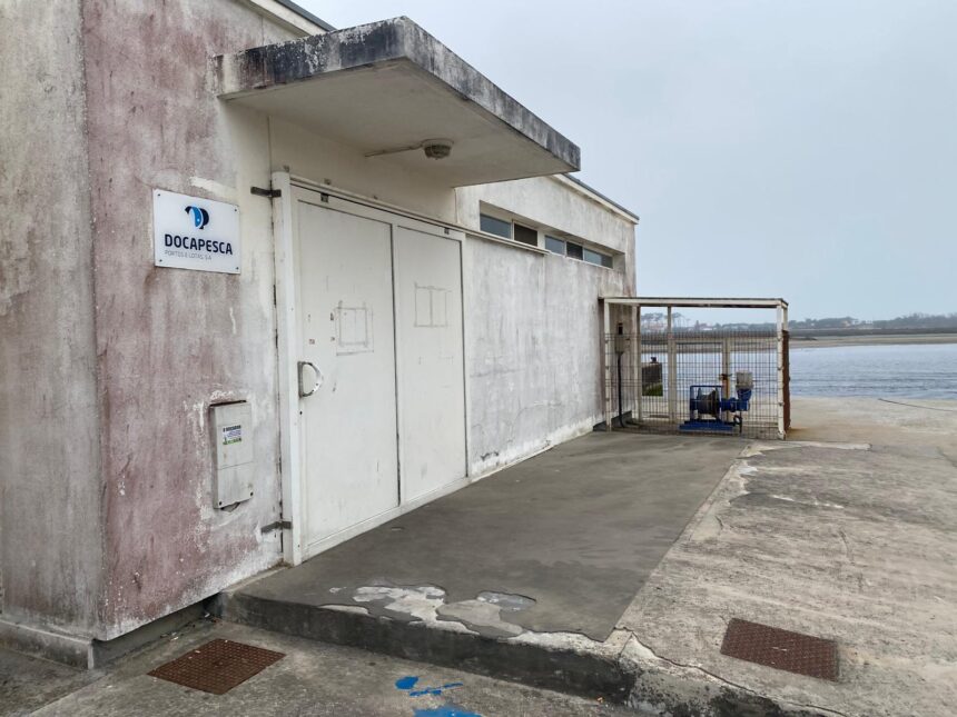 Esposende: ASAE esteve na lota mas presidente de pescadores afirma que "está tudo bem" docapesca pesca esposende