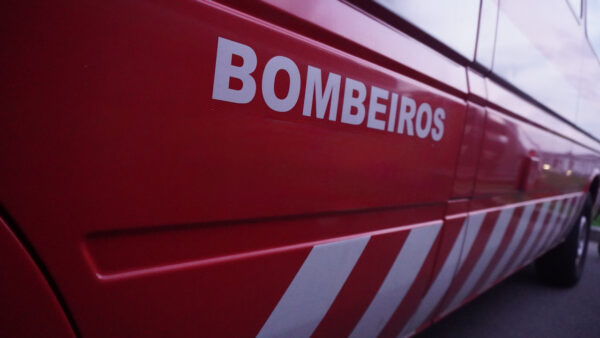 bombeiros amarante celorico de basto incendios - 1