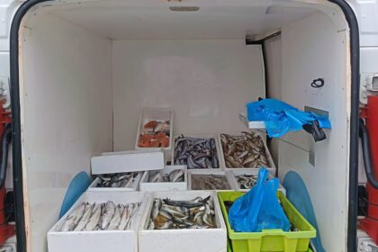 Povoa de Varzim pescado UCC