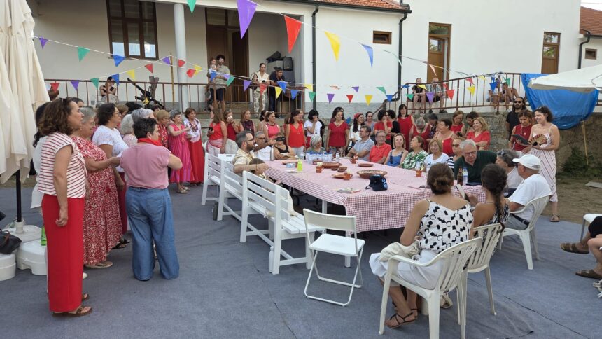 tadim braga descentrar rolandovilaca cultura
