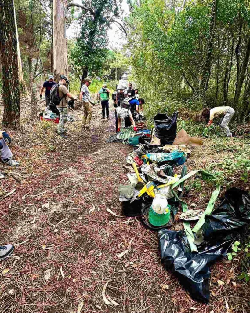 Esposende: Voluntários recolhem uma tonelada de lixo na Mata de Folhosas em Fão 788591736 1056149087059717 4343236464805815706 n