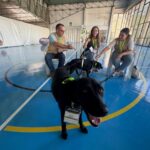Barcelos Projeto AtivaMente promove saude mental e bem estar no Pavilhao Municipal