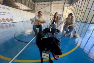 Barcelos Projeto AtivaMente promove saude mental e bem estar no Pavilhao Municipal