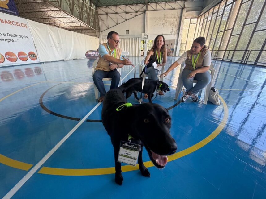 Barcelos: Projeto AtivaMente promove saúde mental e bem-estar no Pavilhão Municipal Barcelos Projeto AtivaMente promove saude mental e bem estar no Pavilhao Municipal