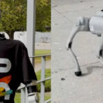 Barcelos Robo humanoide e cao robotico dao as boas vindas aos novos estudantes do IPCA