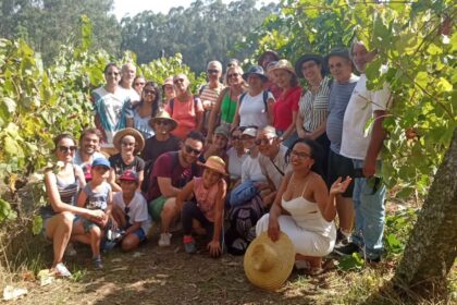 Barcelos Rota do enoturismo leva participantes a vivenciar a tradicao da vindima em Fonte Coberta