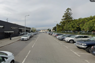 Barcelos Tres pessoas hospitalizadas apos ataques de caes vadios na zona industrial de Tamel Sao Verissimo