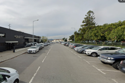 Barcelos Tres pessoas hospitalizadas apos ataques de caes vadios na zona industrial de Tamel Sao Verissimo